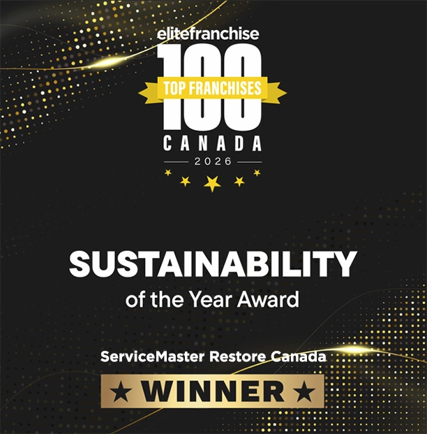EF100 Sustainability Award