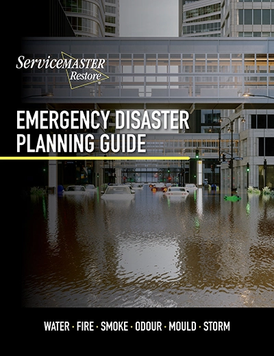 download our preloss planning brochure